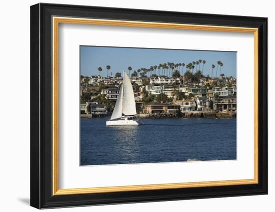 Sailboat in the Pacific Ocean, Newport Beach, Orange County, California, USA-Panoramic Images-Framed Photographic Print