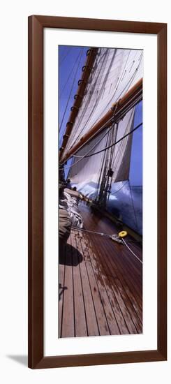 Sailboat in the Sea, Antigua, Antigua and Barbuda-null-Framed Photographic Print