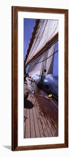 Sailboat in the Sea, Antigua, Antigua and Barbuda-null-Framed Photographic Print