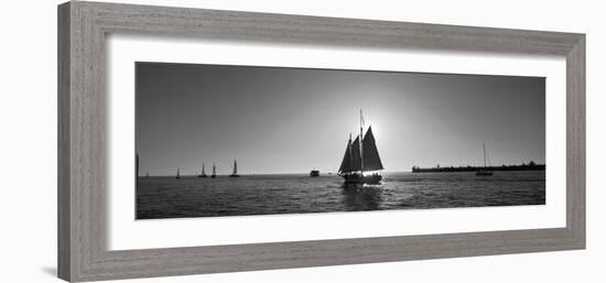 Sailboat, Key West, Florida, USA-null-Framed Photographic Print