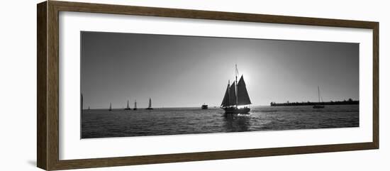 Sailboat, Key West, Florida, USA-null-Framed Photographic Print