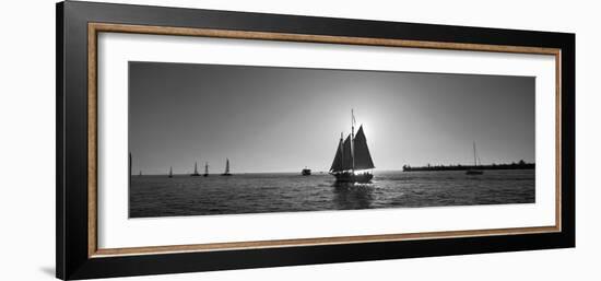 Sailboat, Key West, Florida, USA-null-Framed Photographic Print