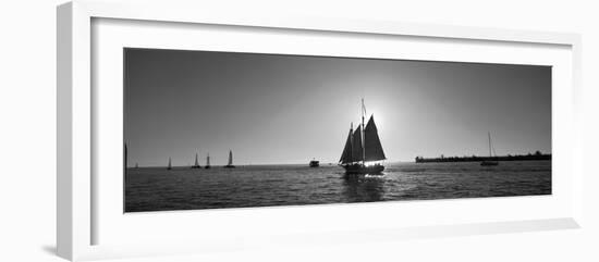 Sailboat, Key West, Florida, USA-null-Framed Photographic Print