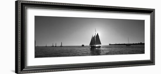 Sailboat, Key West, Florida, USA-null-Framed Photographic Print