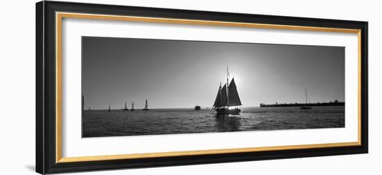 Sailboat, Key West, Florida, USA-null-Framed Photographic Print