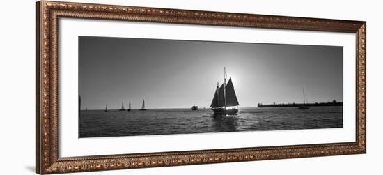 Sailboat, Key West, Florida, USA-null-Framed Photographic Print