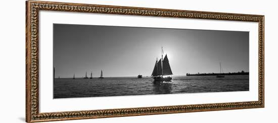 Sailboat, Key West, Florida, USA-null-Framed Photographic Print