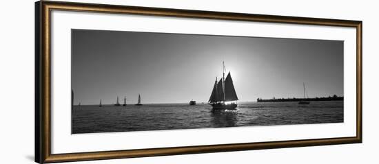 Sailboat, Key West, Florida, USA-null-Framed Photographic Print