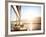 Sailboat on Sunset, Luxurious Water Transport, Bright Sun Light on the Sea, Evening Travel on Sail-Anna Omelchenko-Framed Photographic Print