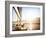 Sailboat on Sunset, Luxurious Water Transport, Bright Sun Light on the Sea, Evening Travel on Sail-Anna Omelchenko-Framed Photographic Print