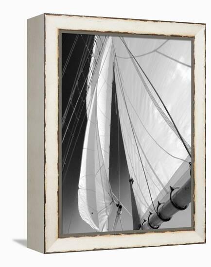 Sailboat Sails Florida-Winthrope Hiers-Framed Premier Image Canvas