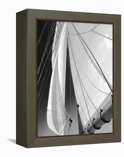 Sailboat Sails Florida-Winthrope Hiers-Framed Premier Image Canvas