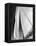 Sailboat Sails Florida-Winthrope Hiers-Framed Premier Image Canvas