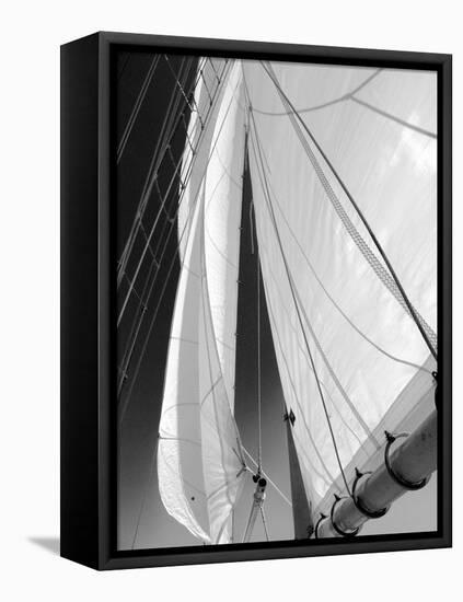 Sailboat Sails Florida-Winthrope Hiers-Framed Premier Image Canvas