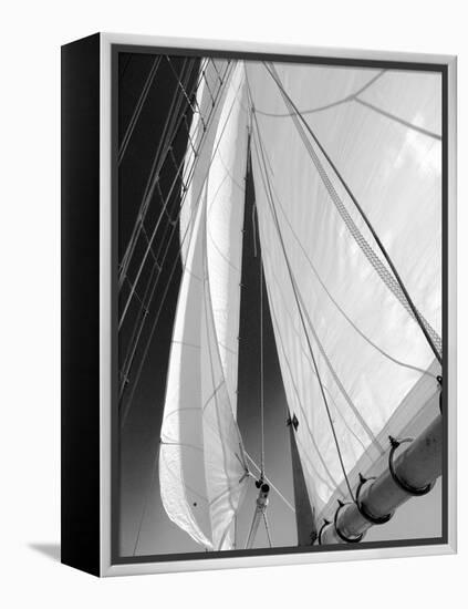 Sailboat Sails Florida-Winthrope Hiers-Framed Premier Image Canvas