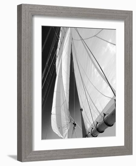 Sailboat Sails Florida-Winthrope Hiers-Framed Photographic Print