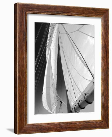 Sailboat Sails Florida-Winthrope Hiers-Framed Photographic Print