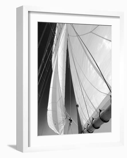 Sailboat Sails Florida-Winthrope Hiers-Framed Photographic Print