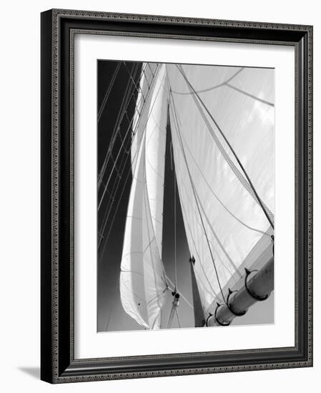 Sailboat Sails Florida-Winthrope Hiers-Framed Photographic Print