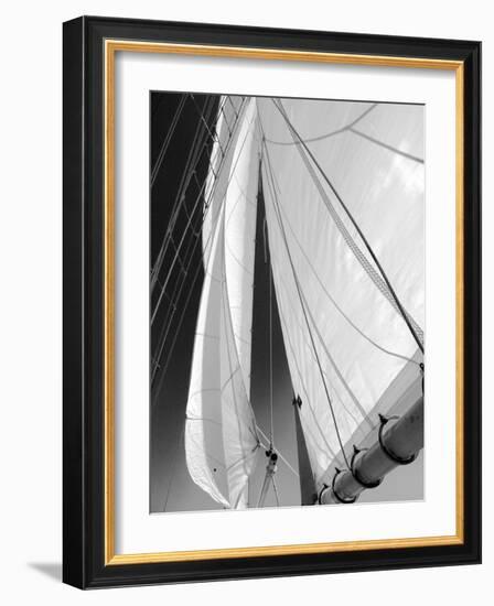 Sailboat Sails Florida-Winthrope Hiers-Framed Photographic Print