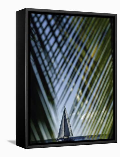 Sailboat Seen Through Palm Fronds-null-Framed Premier Image Canvas