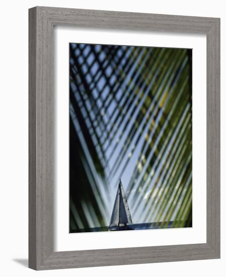 Sailboat Seen Through Palm Fronds-null-Framed Photographic Print