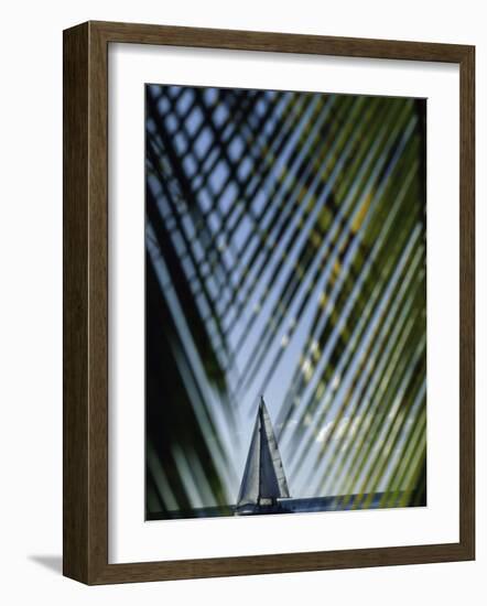 Sailboat Seen Through Palm Fronds-null-Framed Photographic Print