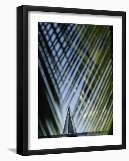 Sailboat Seen Through Palm Fronds-null-Framed Photographic Print