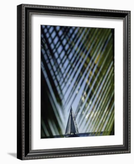 Sailboat Seen Through Palm Fronds-null-Framed Photographic Print