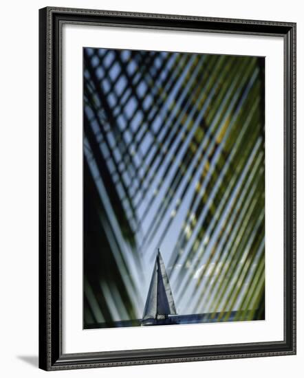 Sailboat Seen Through Palm Fronds-null-Framed Photographic Print