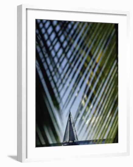 Sailboat Seen Through Palm Fronds-null-Framed Photographic Print