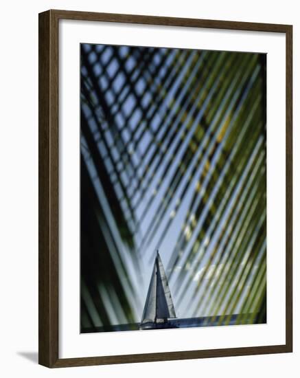 Sailboat Seen Through Palm Fronds-null-Framed Photographic Print