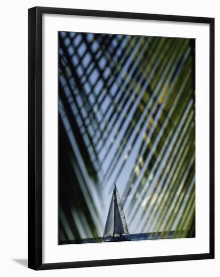 Sailboat Seen Through Palm Fronds-null-Framed Photographic Print