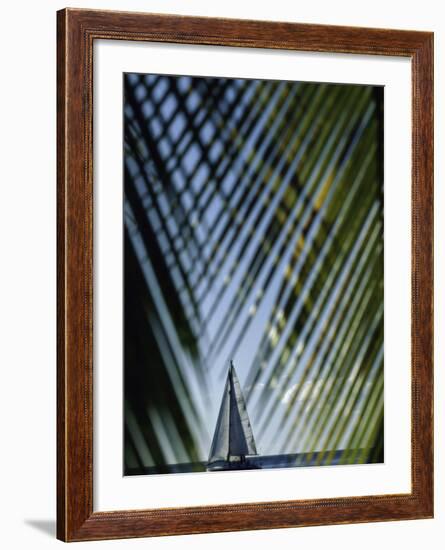 Sailboat Seen Through Palm Fronds-null-Framed Photographic Print