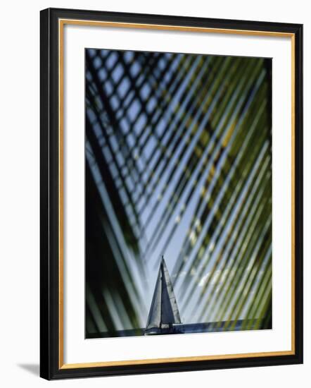 Sailboat Seen Through Palm Fronds-null-Framed Photographic Print