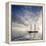 Sailboat Sun And Sky-rolffimages-Framed Stretched Canvas