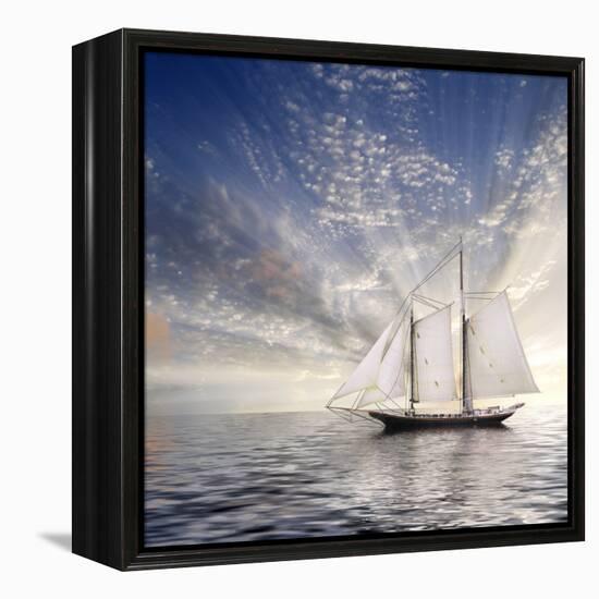 Sailboat Sun And Sky-rolffimages-Framed Stretched Canvas