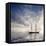 Sailboat Sun And Sky-rolffimages-Framed Stretched Canvas