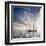 Sailboat Sun And Sky-rolffimages-Framed Art Print