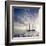 Sailboat Sun And Sky-rolffimages-Framed Art Print