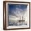 Sailboat Sun And Sky-rolffimages-Framed Art Print