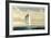 Sailboat-David Lockhart-Framed Collectable Print