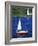 Sailboat-Chris Rogers-Framed Photographic Print