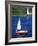 Sailboat-Chris Rogers-Framed Photographic Print