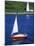 Sailboat-Chris Rogers-Mounted Photographic Print