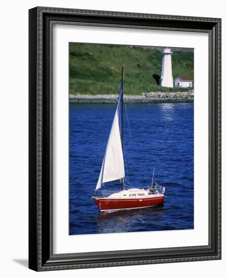 Sailboat-Chris Rogers-Framed Photographic Print