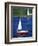 Sailboat-Chris Rogers-Framed Premium Photographic Print