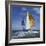 Sailboat-null-Framed Photographic Print