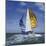 Sailboat-null-Mounted Photographic Print