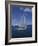 Sailboat-null-Framed Photographic Print